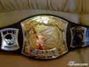 LA CEINTURE DU CHAMPION DU MONDE